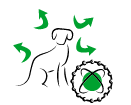 arion_imunitate.png