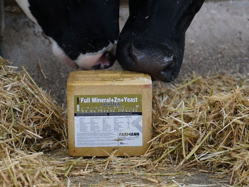 FARMANN sāls Full mineral+Zn+Yeast block 10kg